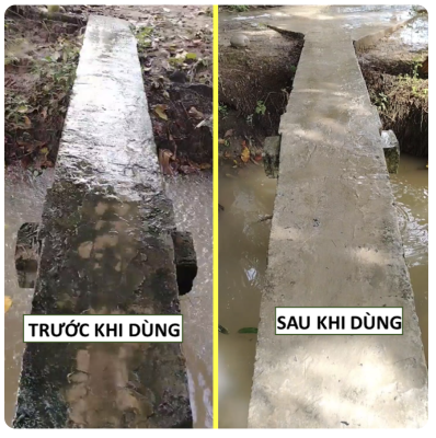 bột tẩy rong rêu